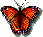 Le papillon: symbole de la r�surrection de J�sus Christ!