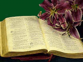 BIBLE-1.GIF (45061 bytes)