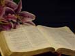 bible2sm.jpg (5276 bytes)